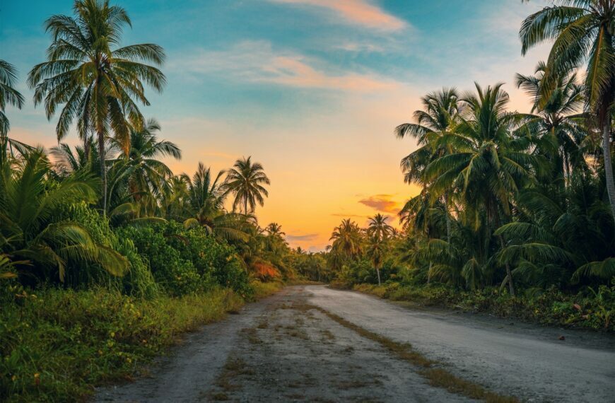 Doğa Turizmi (Ekoturizm)