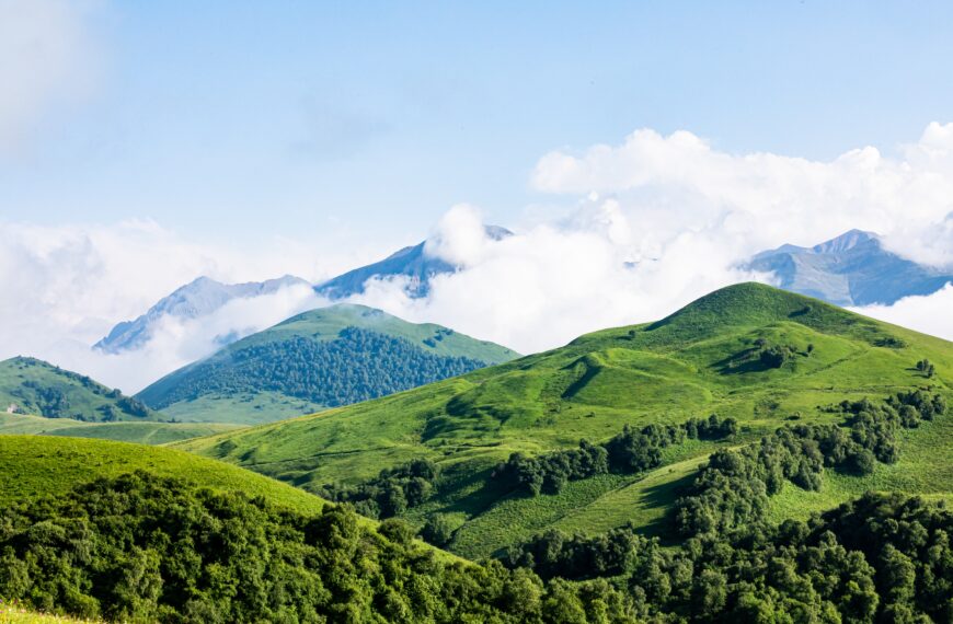 Artvin Gezi Rehberi